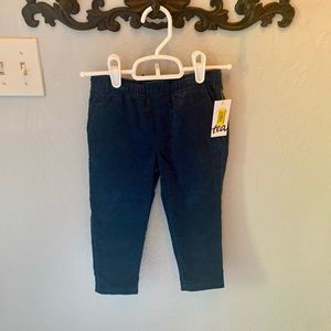 Tea Collection Boy’s Corduroy Pants